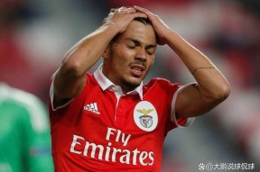 本菲卡拿过欧冠冠军吗